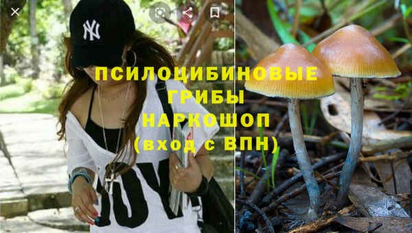 метадон Зеленодольск